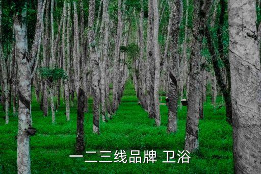 一二三線品牌 衛(wèi)浴