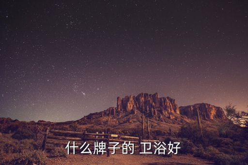 什么牌子的 衛(wèi)浴好