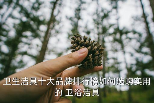 衛(wèi)生潔具十大品牌排行榜如何選購實用的 衛(wèi)浴潔具