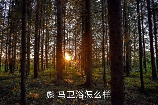 彪馬衛(wèi)浴開衫圖片大全集