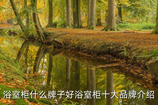 浴室柜什么牌子好浴室柜十大品牌介紹