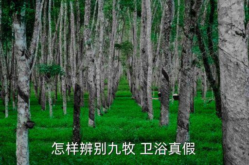 怎樣辨別九牧 衛(wèi)浴真假