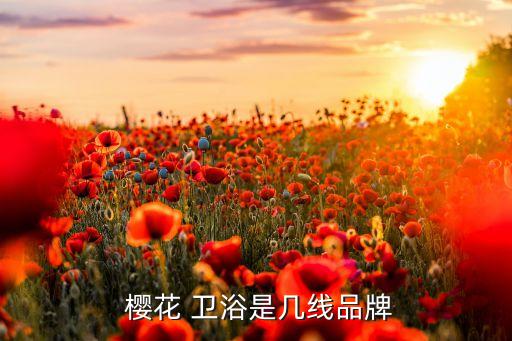 櫻花衛(wèi)浴質(zhì)量怎么樣,櫻花熱水器質(zhì)量怎么樣