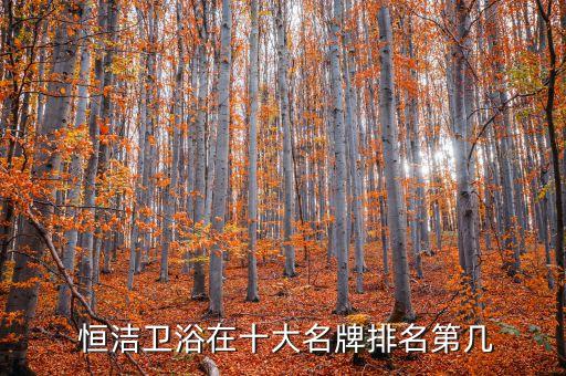  恒潔衛(wèi)浴在十大名牌排名第幾