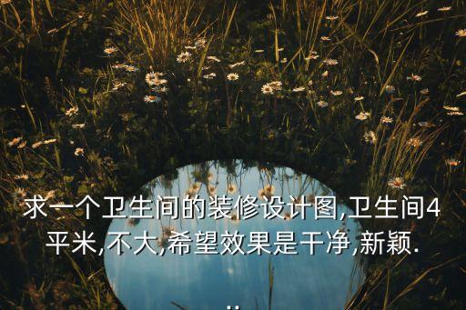 求一個衛(wèi)生間的裝修設計圖,衛(wèi)生間4平米,不大,希望效果是干凈,新穎...