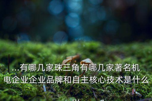 ...有哪幾家珠三角有哪幾家著名機電企業(yè)企業(yè)品牌和自主核心技術(shù)是什么...