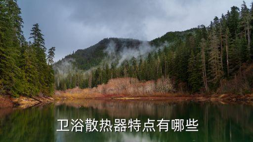 衛(wèi)浴散熱器特點(diǎn)有哪些