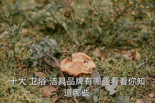 十大 衛(wèi)浴 潔具品牌有哪些看看你知道哪些