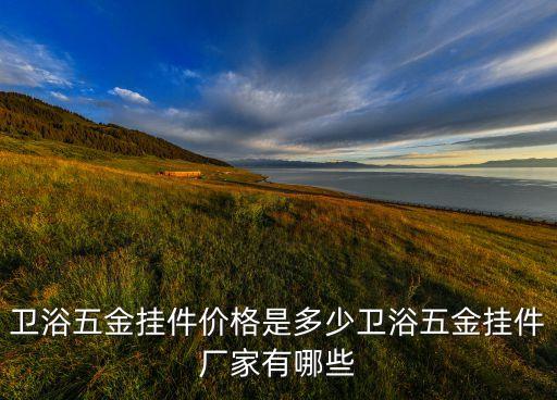 衛(wèi)浴五金掛件價(jià)格是多少衛(wèi)浴五金掛件廠家有哪些