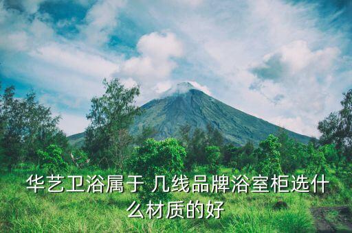 華藝衛(wèi)浴是幾線品牌怎么樣
