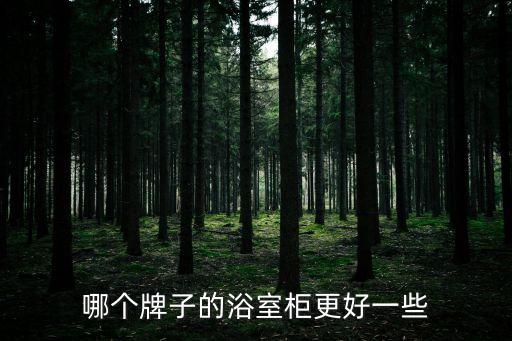 北歐輕奢酒店風(fēng)衛(wèi)浴柜圖片