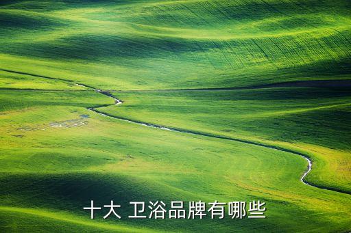 衛(wèi)浴更多品牌,衛(wèi)浴品牌排行榜前十名性價比高的