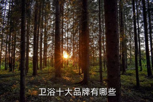  衛(wèi)浴十大品牌有哪些