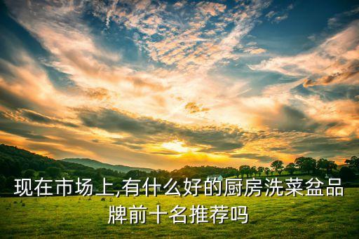 現(xiàn)在市場上,有什么好的廚房洗菜盆品牌前十名推薦嗎
