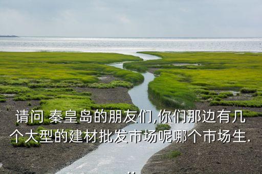請(qǐng)問(wèn) 秦皇島的朋友們,你們那邊有幾個(gè)大型的建材批發(fā)市場(chǎng)呢哪個(gè)市場(chǎng)生...