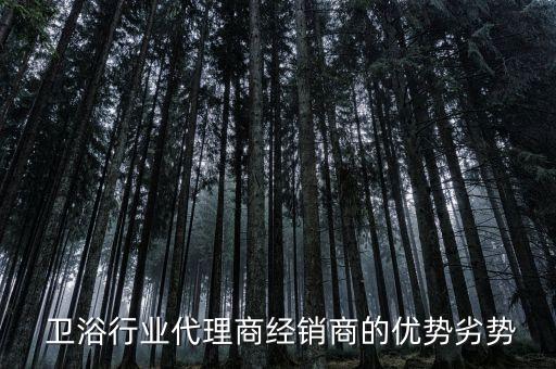  衛(wèi)浴行業(yè)代理商經(jīng)銷商的優(yōu)勢(shì)劣勢(shì)