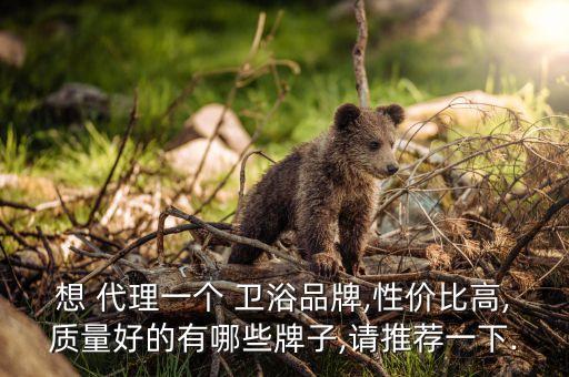鄉(xiāng)鎮(zhèn)衛(wèi)浴品牌代理,現(xiàn)在有什么品牌的衛(wèi)浴可以代理