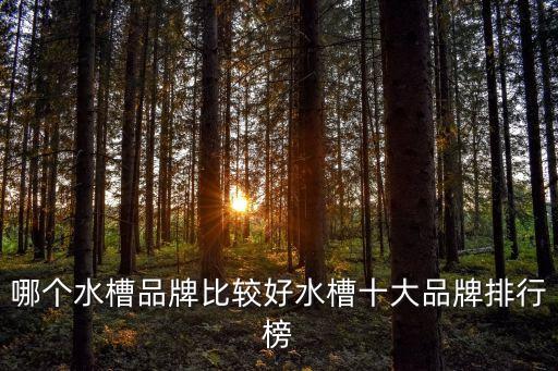 哪個水槽品牌比較好水槽十大品牌排行榜