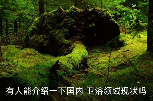 有人能介紹一下國內(nèi) 衛(wèi)浴領(lǐng)域現(xiàn)狀嗎