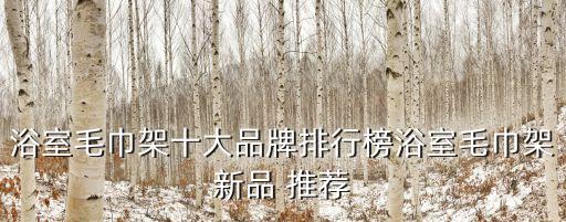 浴室毛巾架十大品牌排行榜浴室毛巾架新品 推薦