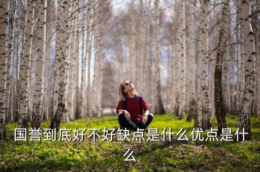 衛(wèi)浴品牌介紹筆袋推薦國譽(yù),品牌衛(wèi)浴加盟代理