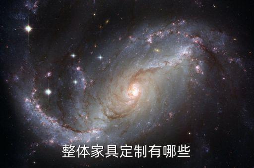 整體家具定制有哪些
