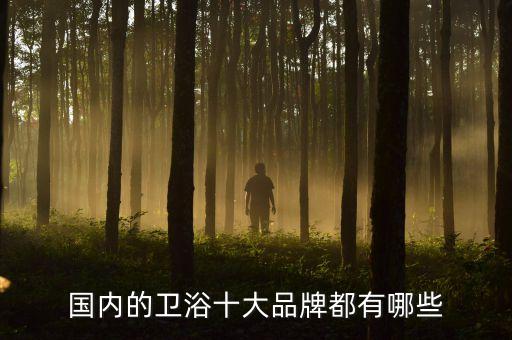國內的衛(wèi)浴十大品牌都有哪些
