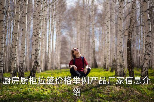 廚房廚柜拉籃價(jià)格舉例產(chǎn)品廠家信息介紹