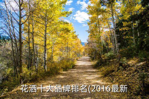 花灑十大品牌排名(2016最新