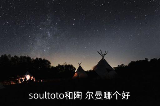 soultoto和陶 爾曼哪個(gè)好