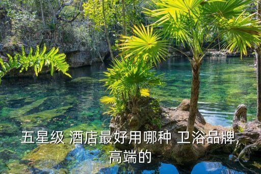 五星級 酒店最好用哪種 衛(wèi)浴品牌,高端的