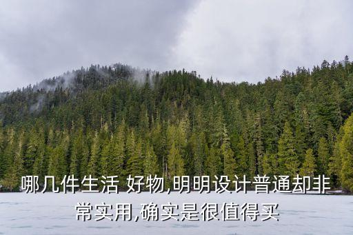 哪幾件生活 好物,明明設(shè)計普通卻非常實用,確實是很值得買