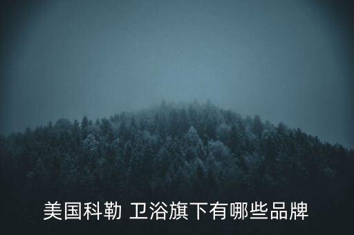 美國(guó)科勒 衛(wèi)浴旗下有哪些品牌