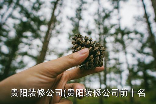 貴州品牌衛(wèi)浴店在哪里啊,一線品牌衛(wèi)浴批發(fā)市場在哪里