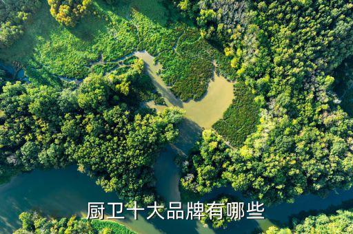 廚衛(wèi)十大品牌有哪些