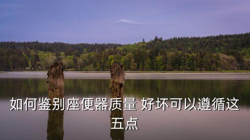 衛(wèi)浴裝修圖怎么看好壞圖片,二手房怎么看裝修質(zhì)量好壞