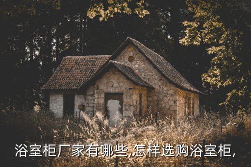 浴室柜廠家有哪些,怎樣選購浴室柜,