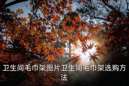 家庭五金衛(wèi)浴圖片大全新款