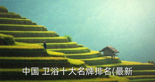 中國 衛(wèi)浴十大名牌排名(最新