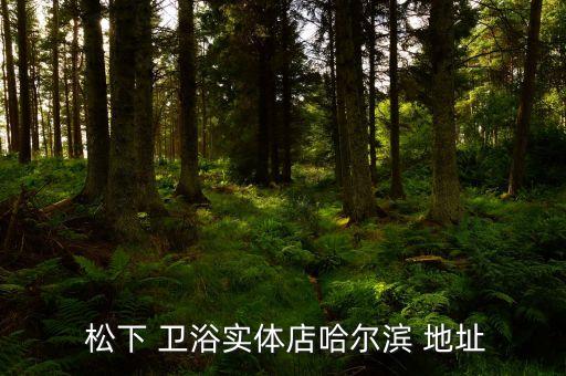 松下衛(wèi)浴專賣店天津地址,toto衛(wèi)浴天津?qū)Ｙu店