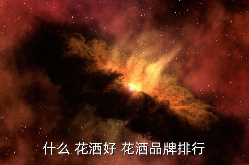 什么 花灑好 花灑品牌排行