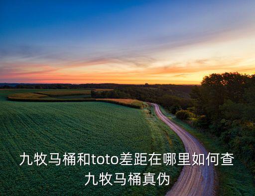 九牧馬桶和toto差距在哪里如何查九牧馬桶真?zhèn)? class=