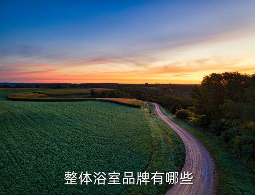  整體浴室品牌有哪些