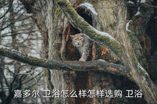 嘉好衛(wèi)浴安裝電話多少,膠州衛(wèi)浴安裝的電話