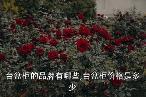 臺(tái)盆柜的品牌有哪些,臺(tái)盆柜價(jià)格是多少