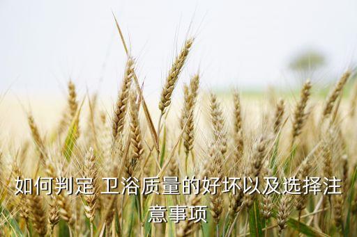 高仿衛(wèi)浴區(qū)別大嗎圖片