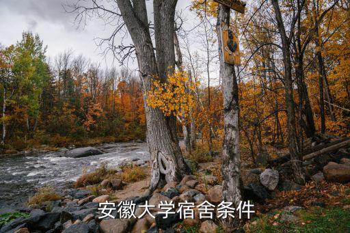 安徽科技獨(dú)立衛(wèi)浴公司地址,安徽冶金科技職業(yè)學(xué)院有獨(dú)立衛(wèi)浴嗎