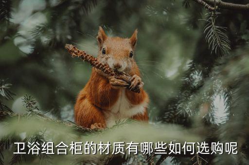  衛(wèi)浴組合柜的材質(zhì)有哪些如何選購呢