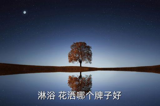 淋浴 花灑哪個牌子好