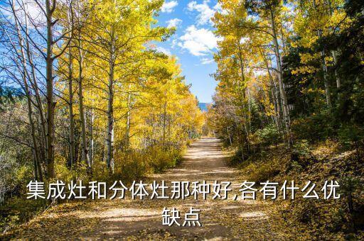  集成灶和分體灶那種好,各有什么優(yōu)缺點(diǎn)